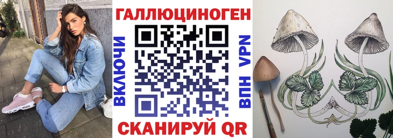 Купить где  Рошаль  Псилоцибиновые грибы Magic Shrooms 